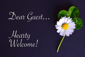 invitation, guest bloggers