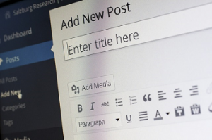 tips for blog titles, WordPress title section